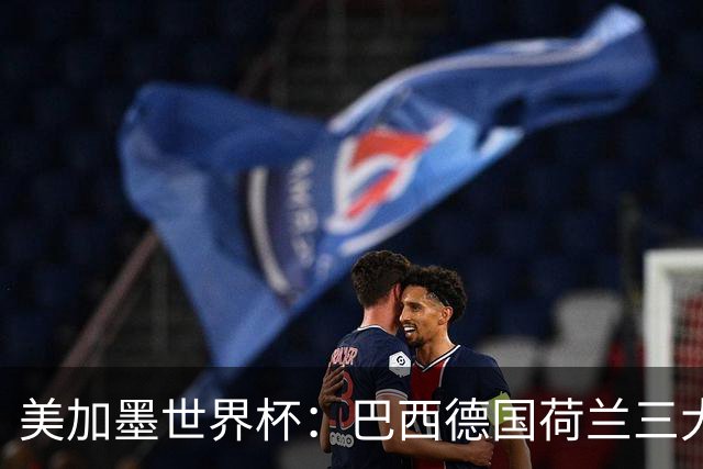 美加墨世界杯：巴西德国荷兰三大豪门将出战